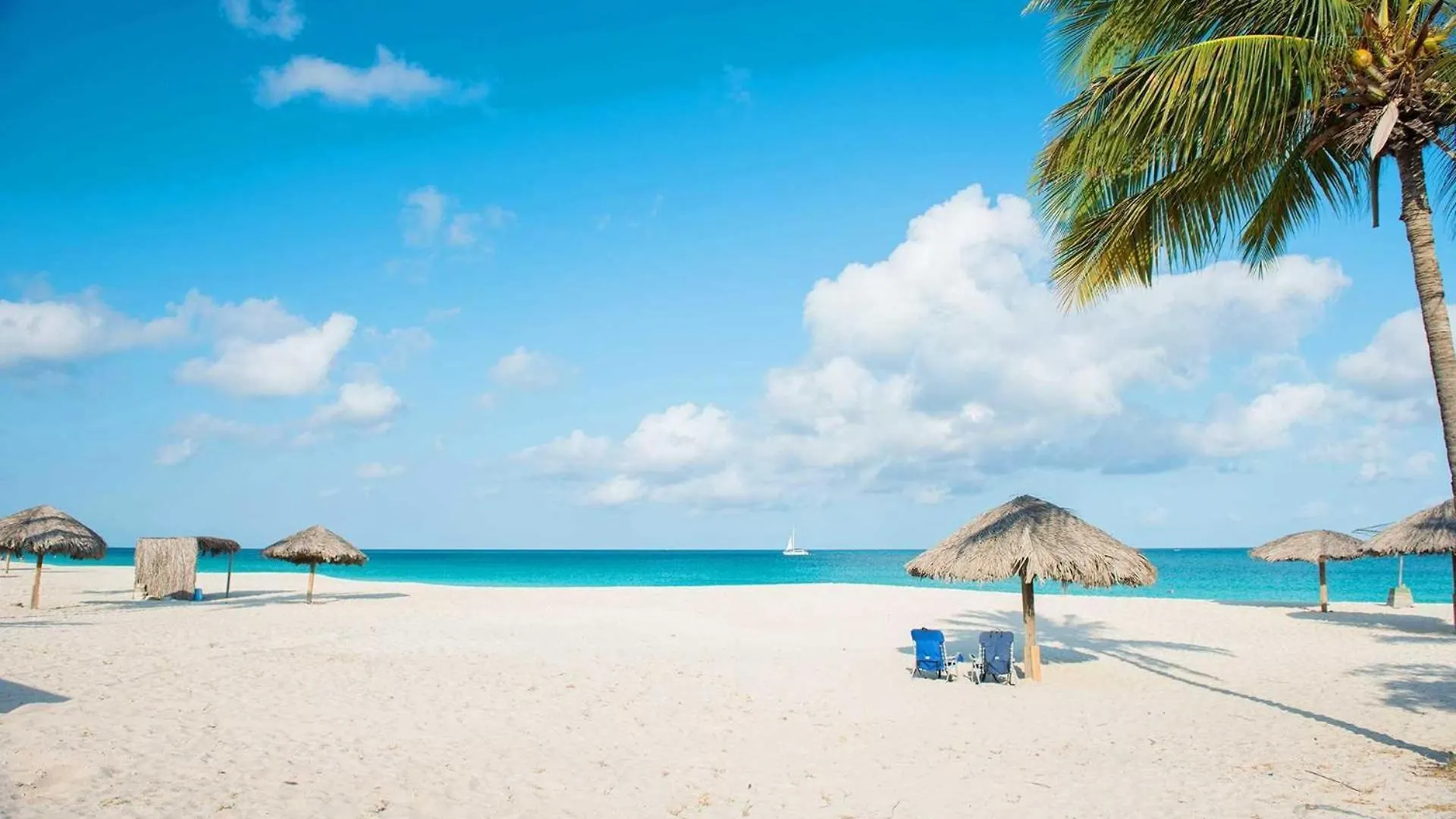 Beachfront - Royal Penthouse 3Br Condo - Bc352 Palm Beach Ferienhaus
